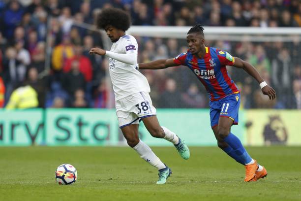 不死小強 不死小強